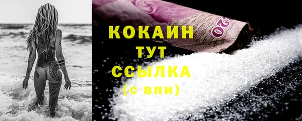 крисы Магадан
