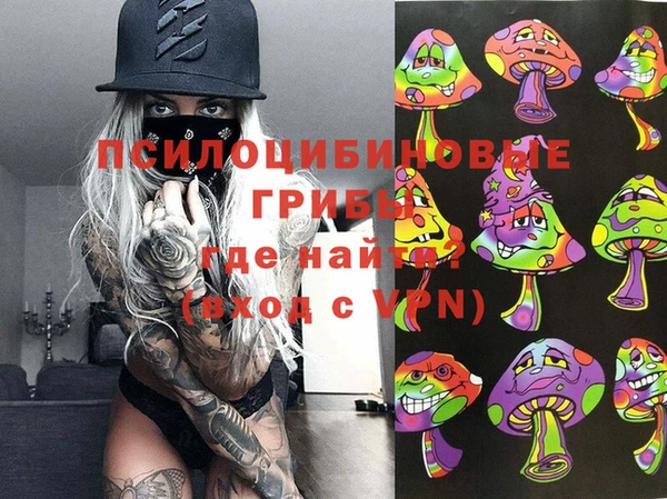 мдпв Арсеньев