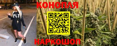 СК Донской
