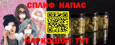 СК Донской