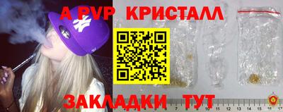 спиды Дубна