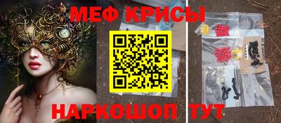 спиды Дубна