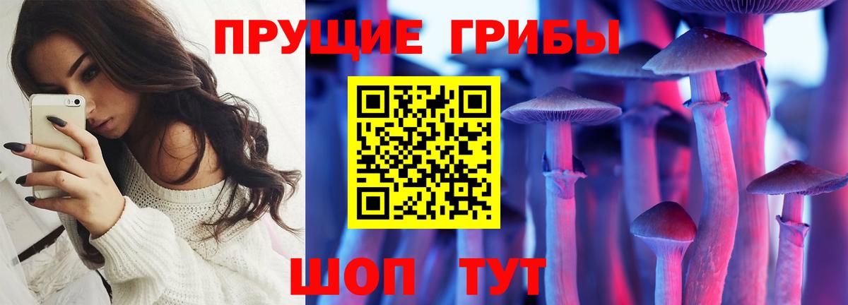 Галлюциногенные грибы прущие грибы  Вход с VPN  Зерноград 