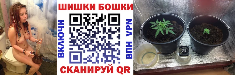 Бошки марихуана конопля  darknet клад  Зерноград 